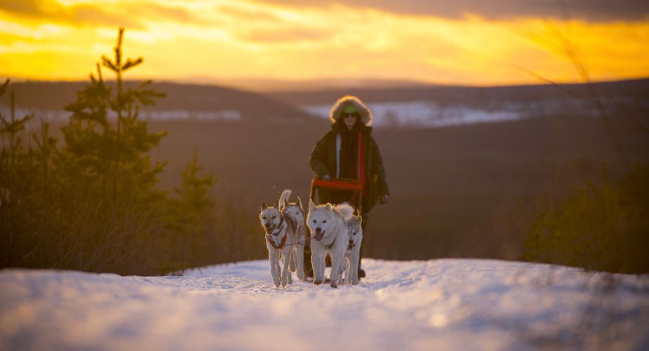 29 38 Lapland 10 29 38 Lapland 10